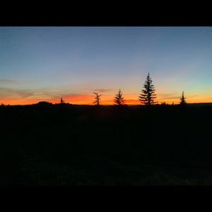 Meet your Posher, Carolyn